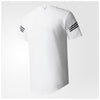 ADIDAS ORIGINALS X WHITE MOUNTAINEERING JAPAN LOGO TEE WHITE BQ0951